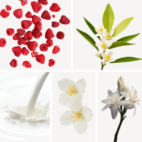 Duftnoten: Himbeere, Orangenblüte, milchige Noten, Jasmin, Tuberose